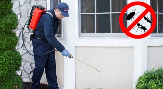 Varto Fare İlaçlama böcek ilaçlama ve haşere kontrolü — ilaclama-tr.com